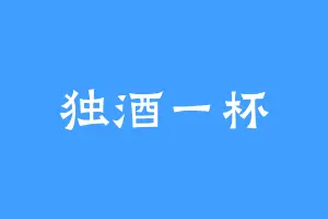 独酒一杯
