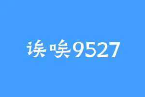 诶唉9527