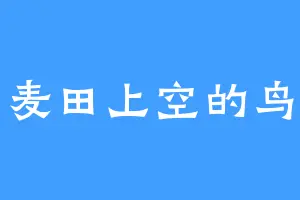 麦田上空的鸟