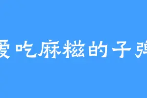 爱吃麻糍的子弹