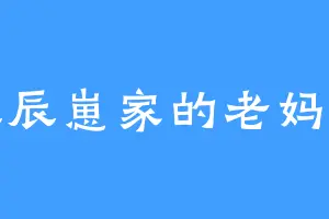 辰辰崽家的老妈子